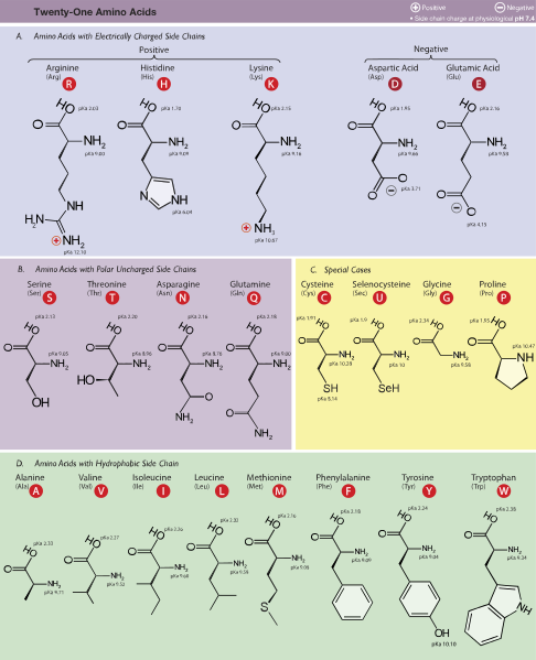 Defining Genomics, Transcriptomics, and Proteomics for Data Scientists 17