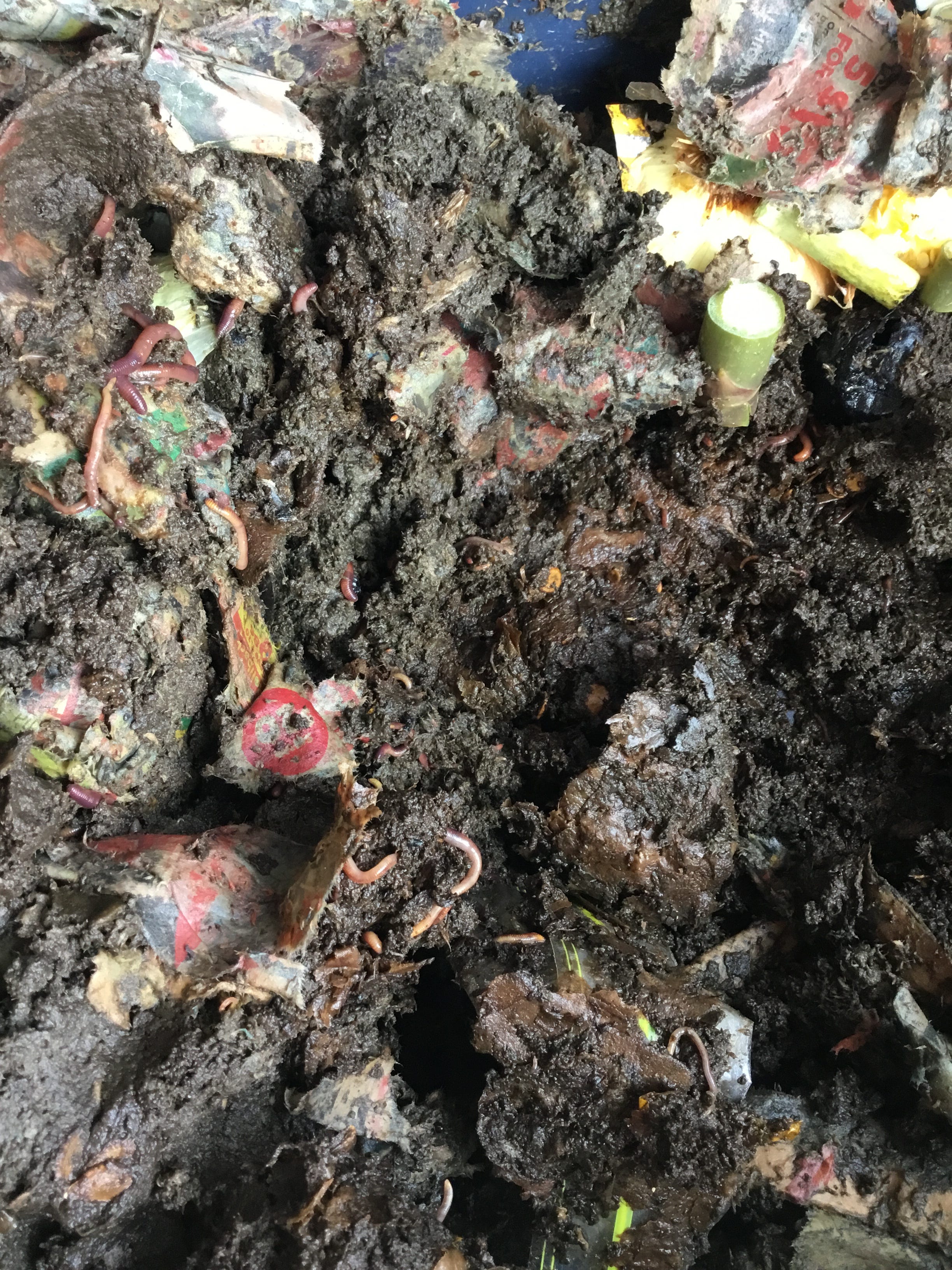 Vermicompostingteach Vermicompostingteach