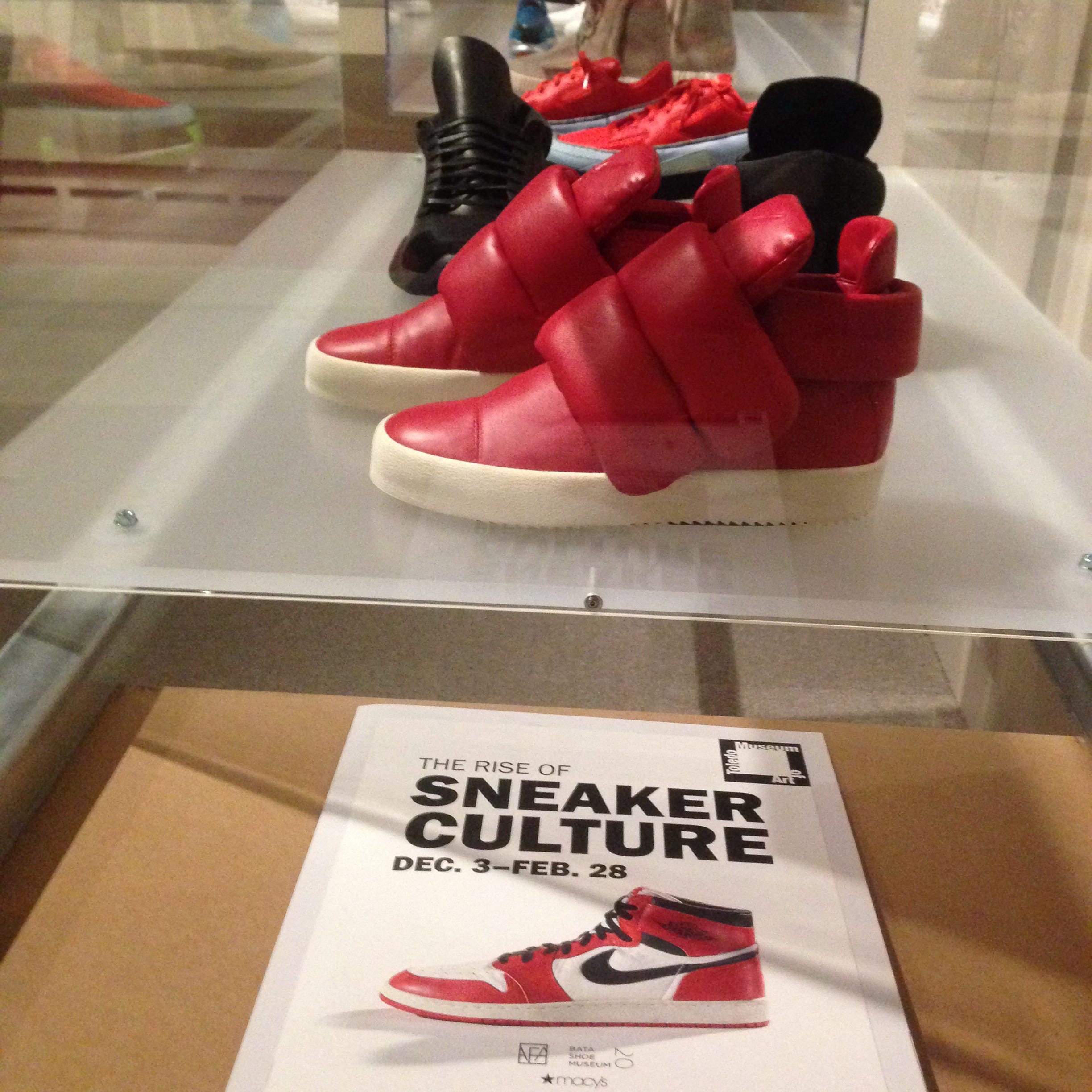 step up sneakers