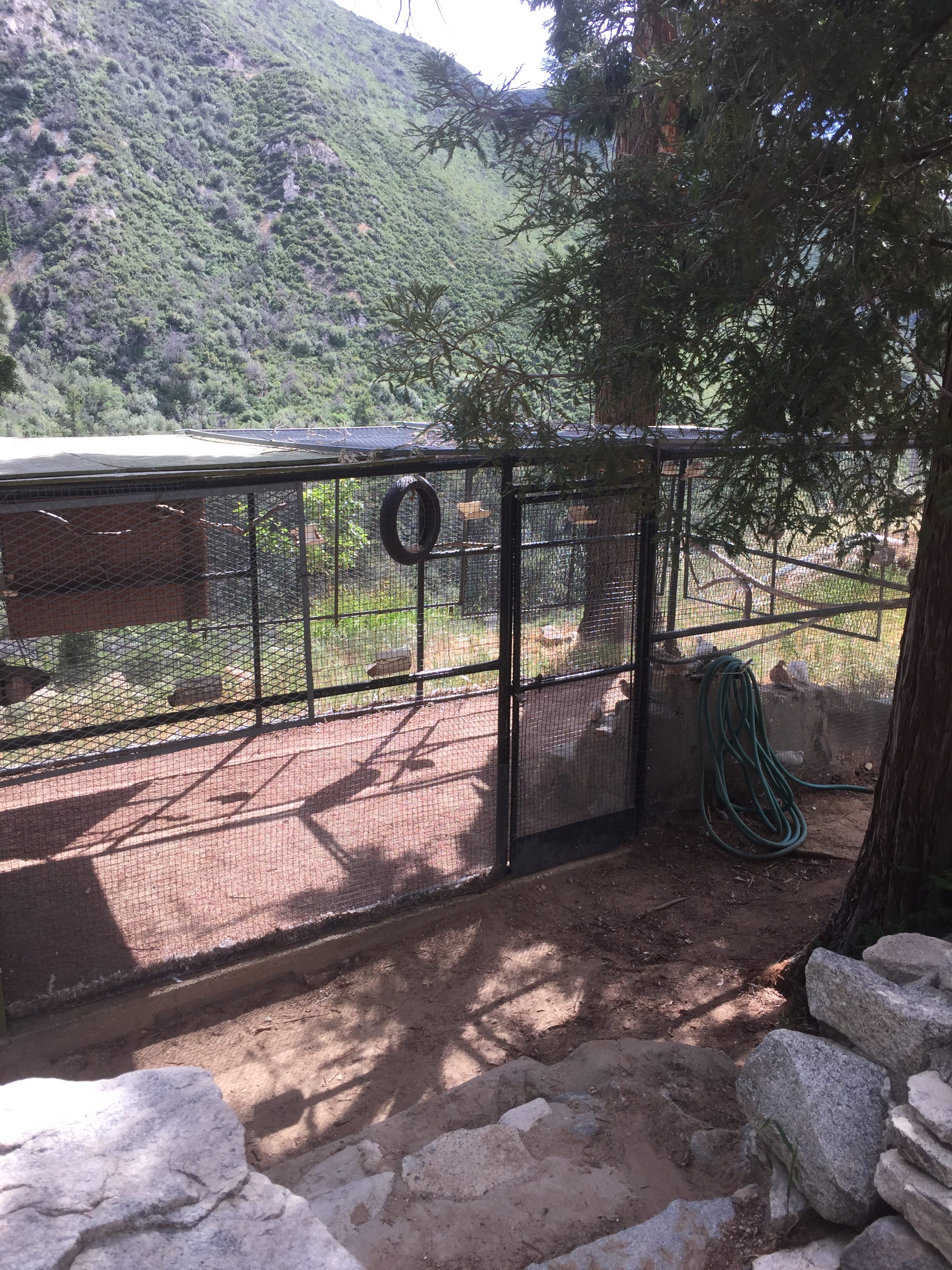 Outdoor Education Perseveres In The San Gabriel Mountains