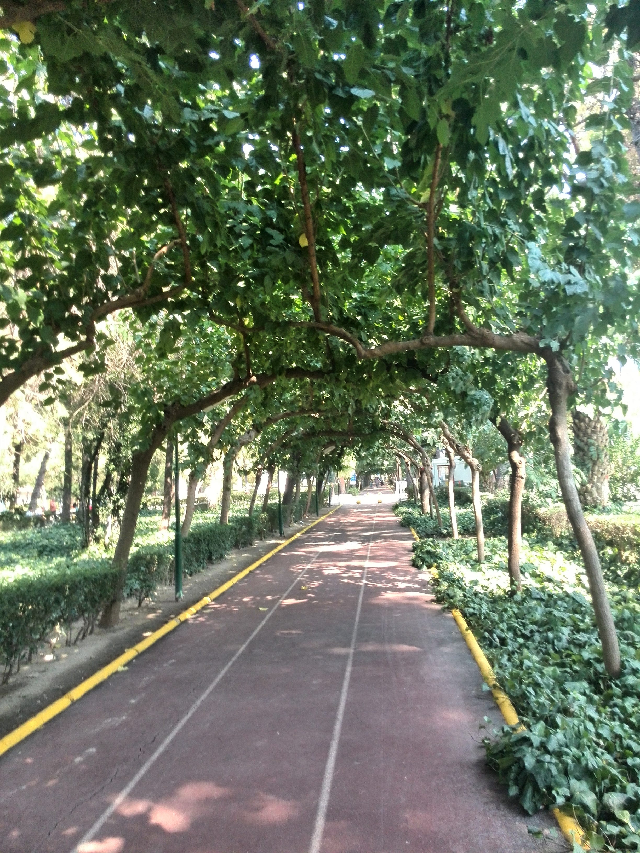 Izmir Seyahati Asli Medium