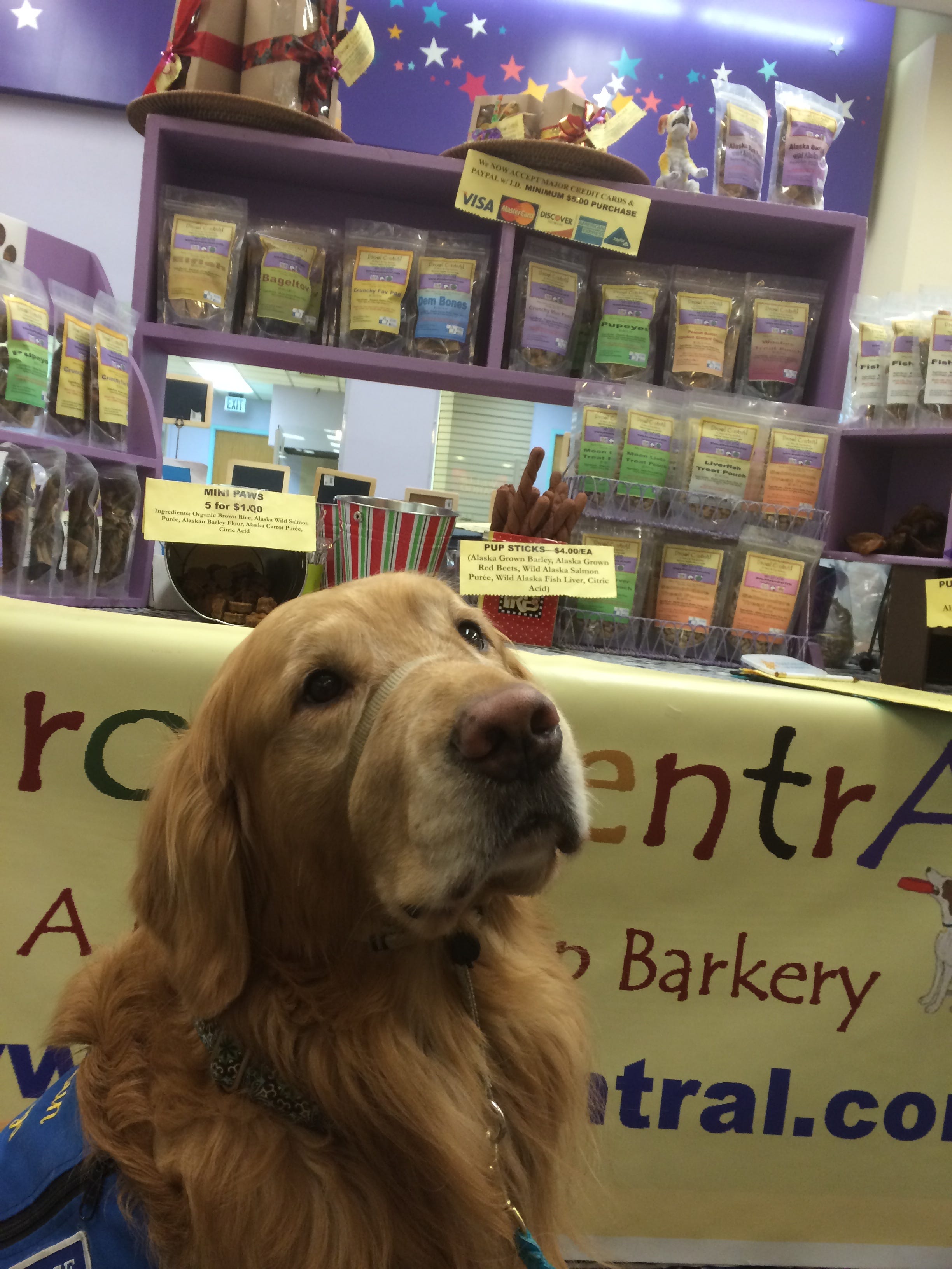 golden barkery