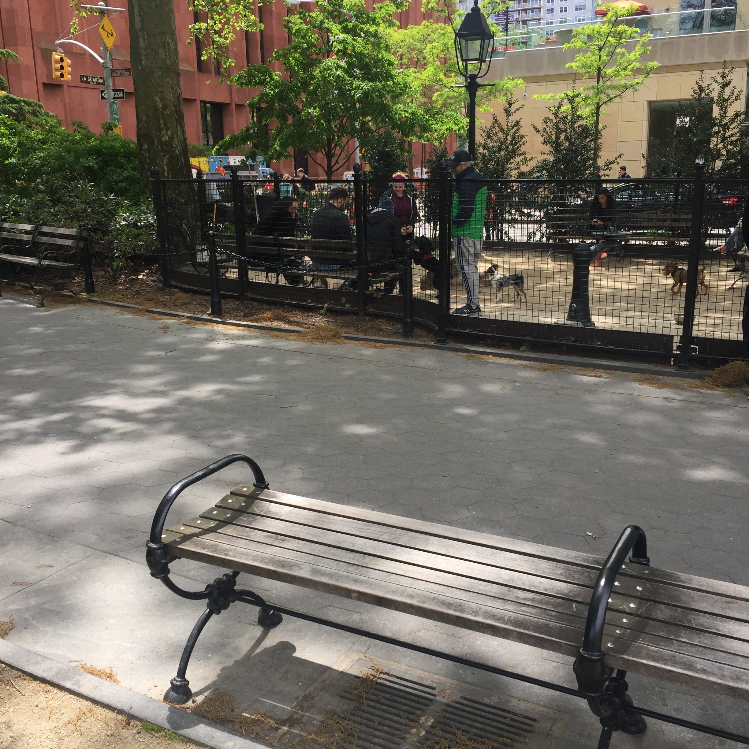 Best Benches To Sit On In Wsp When You Need To Calm Down