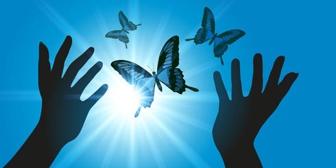 L Ascension Du Papillon Une Metamorphose Planetaire By Hugo C Medium