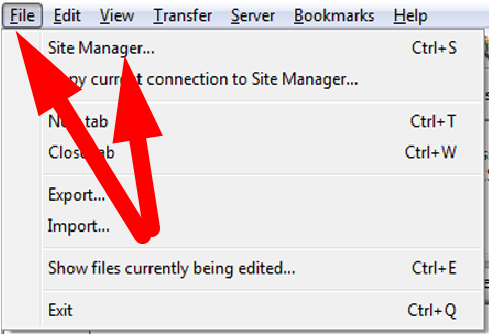 Connect to FileZilla FTP Client