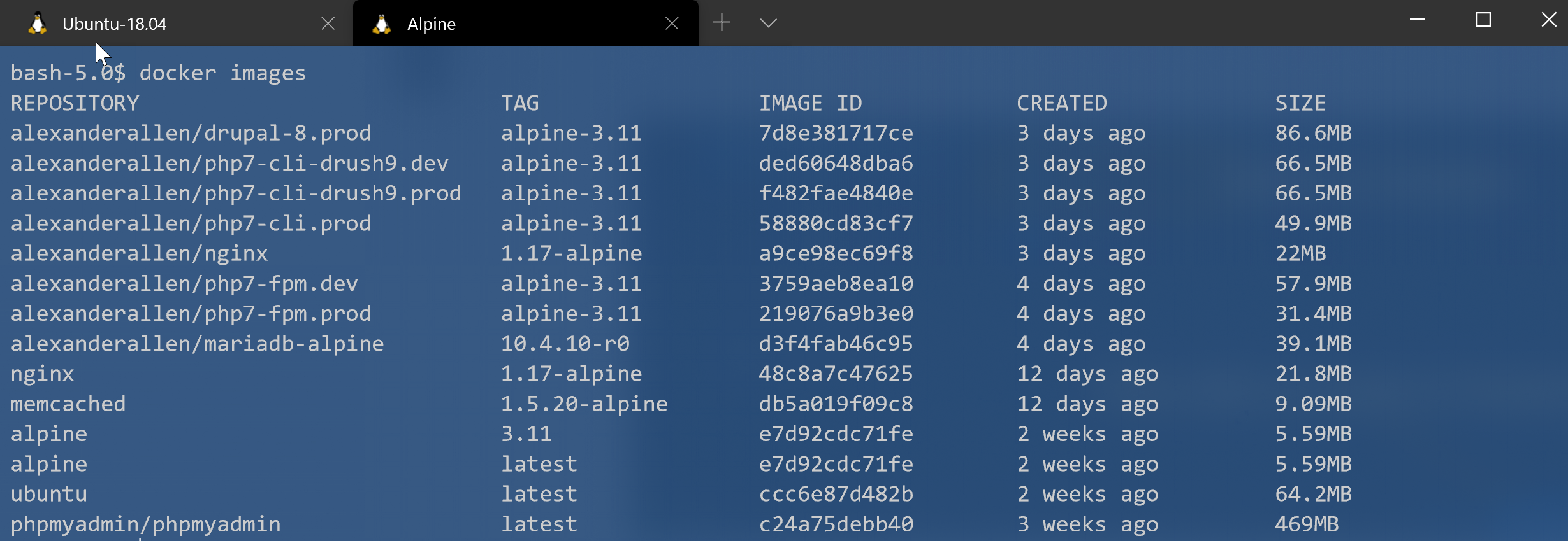 Successfully Connect Alpine WSL 2 to Docker Desktop 2.2 by Callback