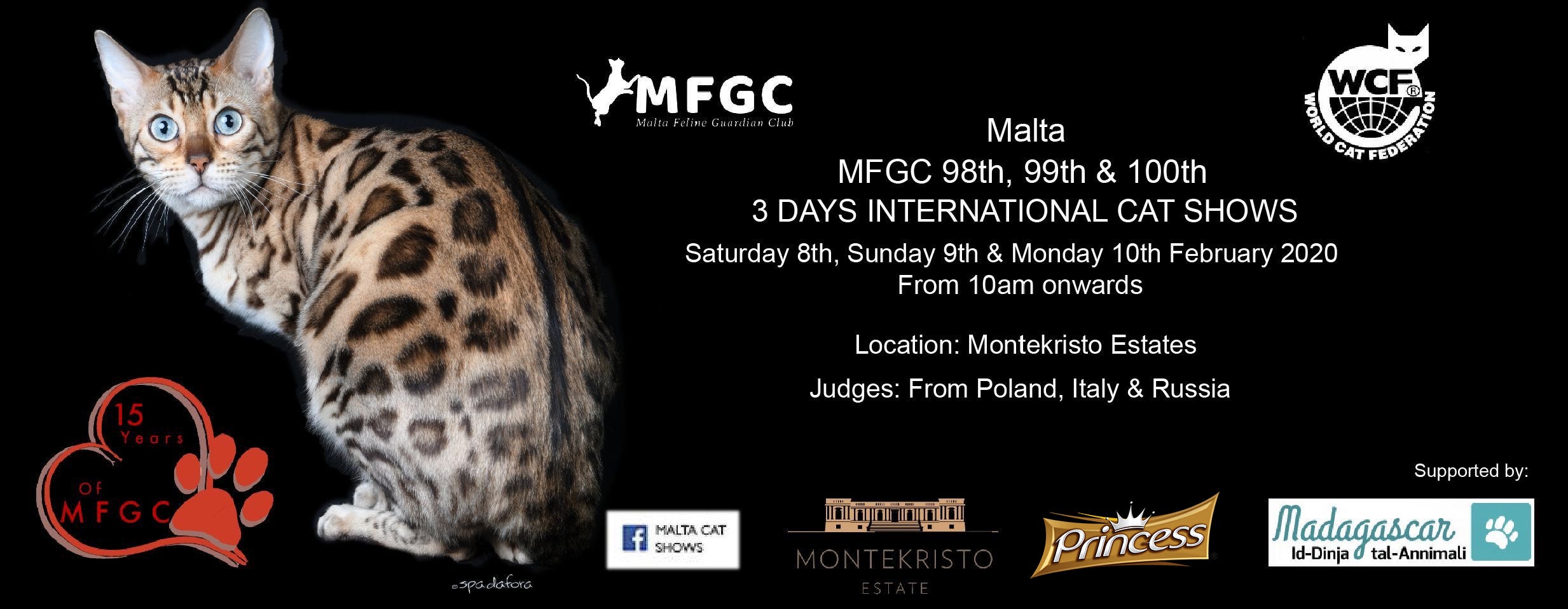 3 Day International Cat Shows Attention All Feline Lovers By Pet Nutrition House Ltd Medium