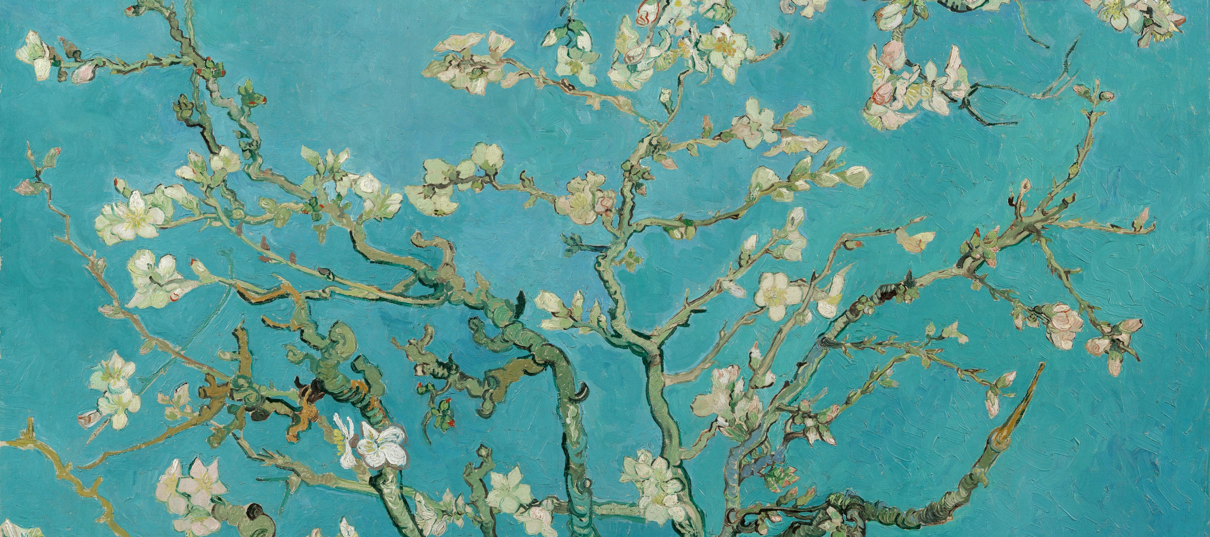 my van gogh