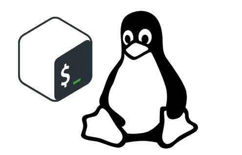 Bash Scripts 101 Bash Script Has Two Parts Bash And By Saeed Mohajeryami Medium Bash Scripts 101 Bash Script Has Two Parts Bash And By Saeed Mohajeryami Medium