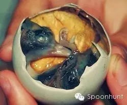 7 Horrific Chinese Foods That Will Give You Nightmares By Spoonhunt Medium