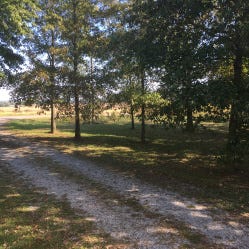 Weekend Getaway At The Shawnee National Forest Wine Trails
