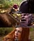 best memes of the week 46 photos 14 Best memes of the week (46 Photos)