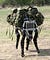Robot with four legs carrying duffle bags for soldiers in the field.