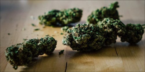 5 Easy Ways To Smell Proof Your Room Blog Cannabis Medium
