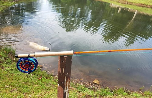 buy fly fishing gear