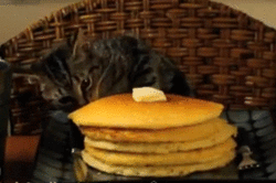 A cat taking a pancake from the top of a pancake stack