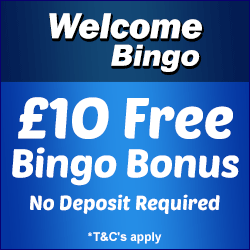 Bingo Bingo