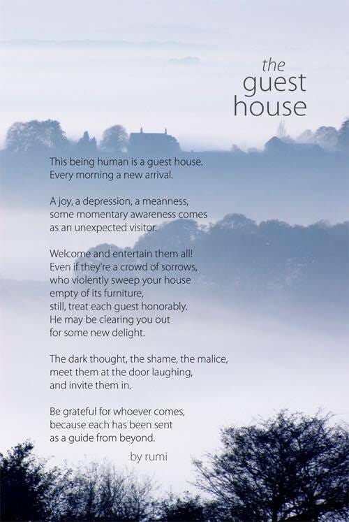 Rumi Quotes about Rain and Reflection