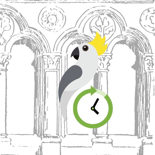 Early birds may be more active, but night owls can catch up. by