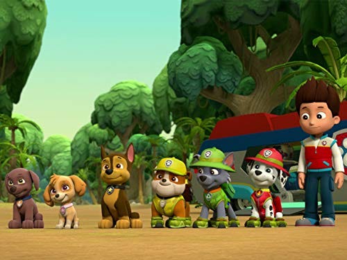 Paw Patrol Season 6, Episode 27, 28 (s6e27, 28) — Mighty Pups, Super Paws:  Pups and the Big Twin Trick (+1 more) | by Umarmosee | Medium
