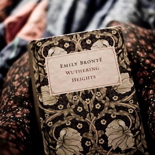 L Aventure Livresque 1 Les Hauts De Hurlevent Cause De Mes Hurlements By M Von B Medium