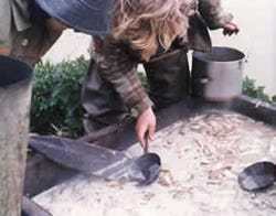 a person skimming oil off a pit full of cooked hooligan