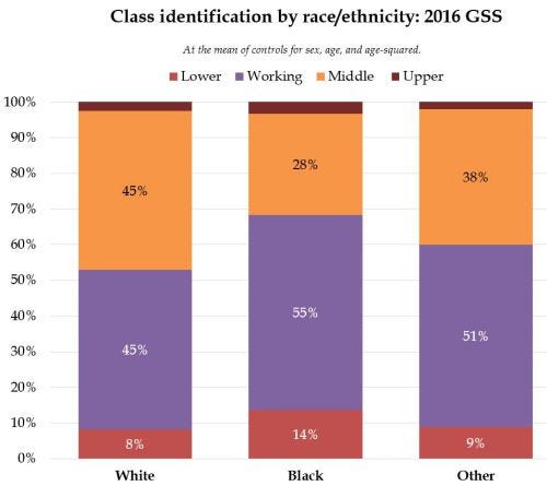 Does social class mean the same thing for all racial and ethnic 