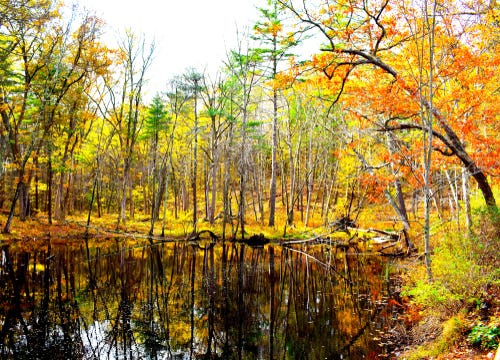 Callahan State Park. Callan State Park, A 958-acre Public… 