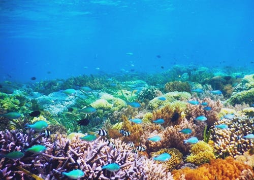 Top 6 Lokasi Terbaik Di Jawa Timur Yang Cocok Banget Buat