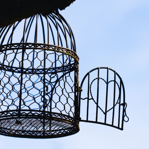 What Is Everyday Childfree In The About Section Of This By what-is-everyday-childfree-in-the-about-section-of-this-by