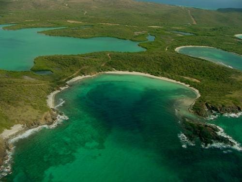 A new low: Politicians try to sell off Vieques National Wildlife Refuge in Puerto Rico