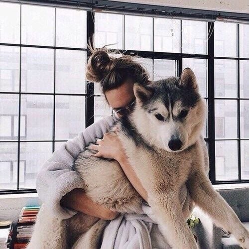 I Cheat On My Dog On My Dog By I Like Big Dogs And I Cannot Lie 