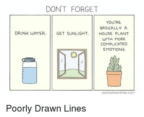 Image for post