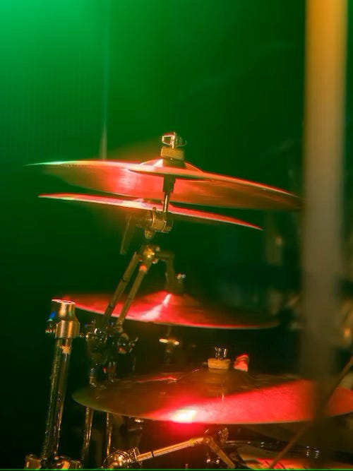 More just Gobbledeegook on the wall Scuzzbucket Medium