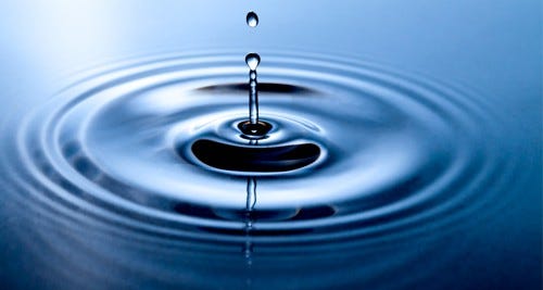 Image result for nature concentric circles in real life