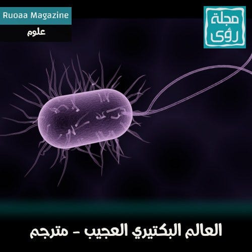 ميكروبات على الأرض بعدد نجوم المجرة By Ibrahim Alalou Medium