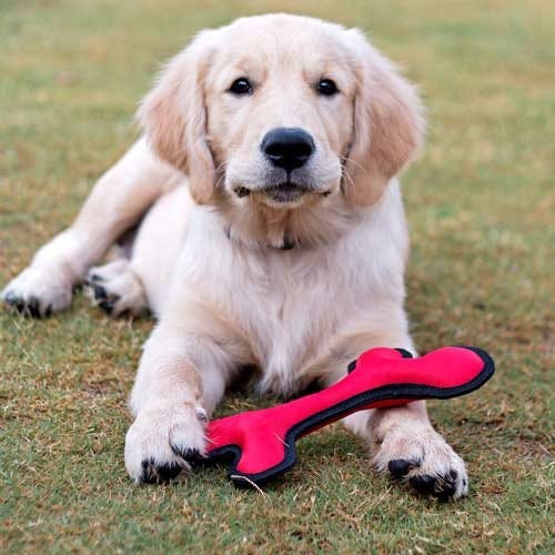 Why Tennis Balls Are Dangerous For Your Dog by Best Pet Blog — HUFT Medium