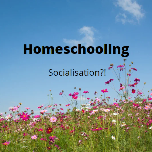 Homeschooling: “What about the social aspect?”