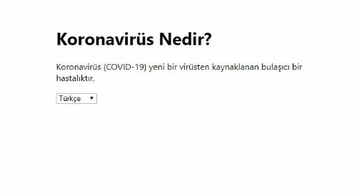 Önizleme