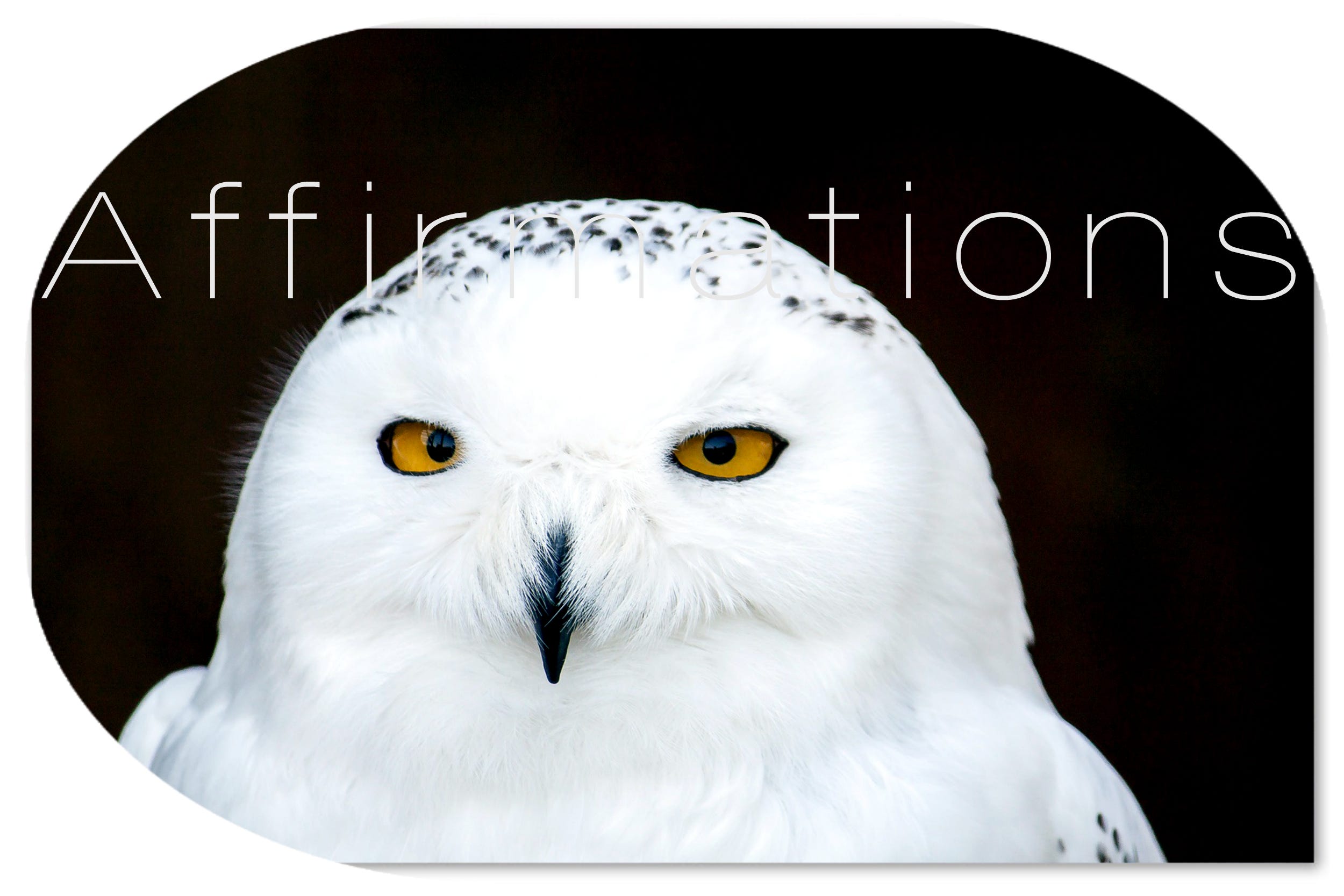 How To Life Daily Affirmations 6 How To Life Medium