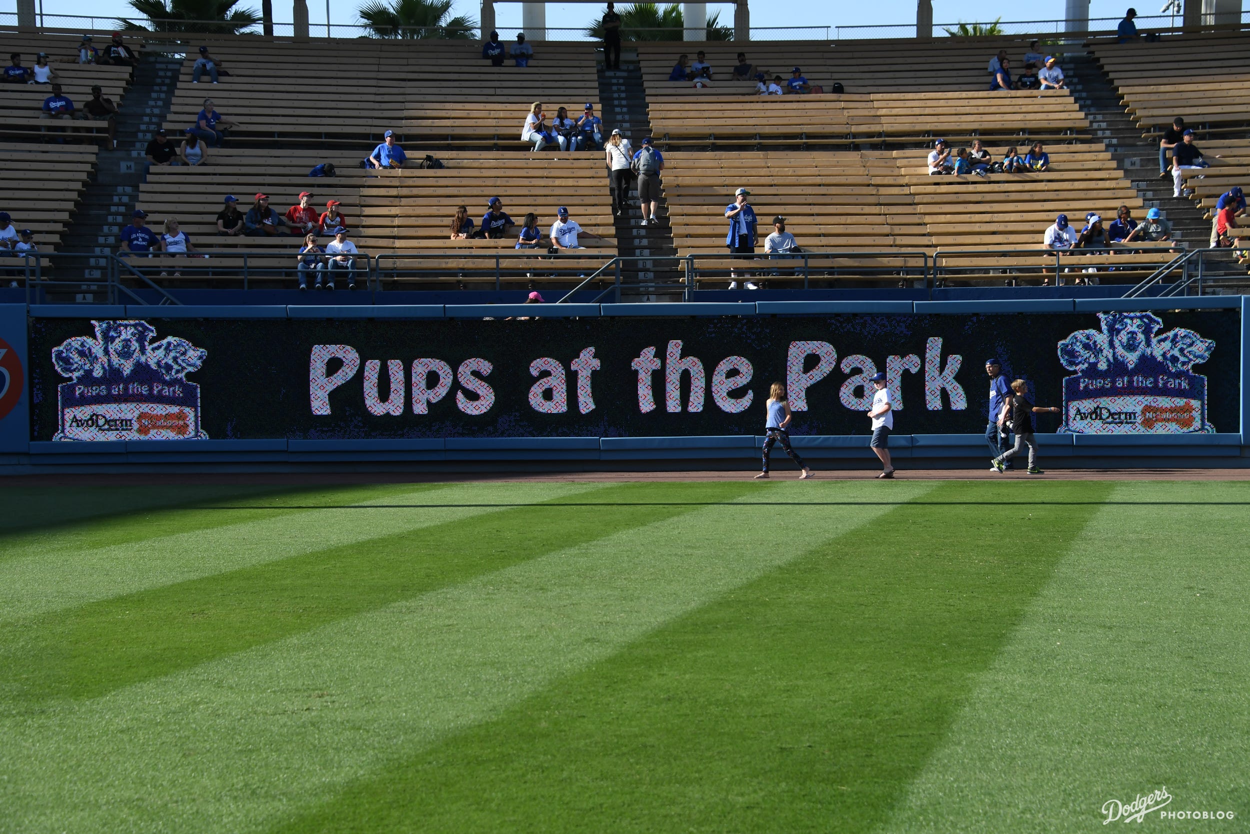 Photoblog Dodgers host Pups at the Park by Sue Jo Dodger Insider