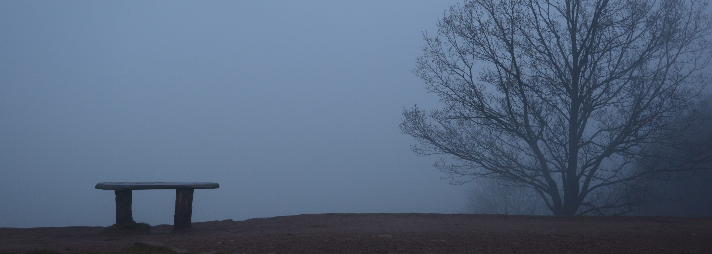 You Have Become Comfortably Numb Claylo