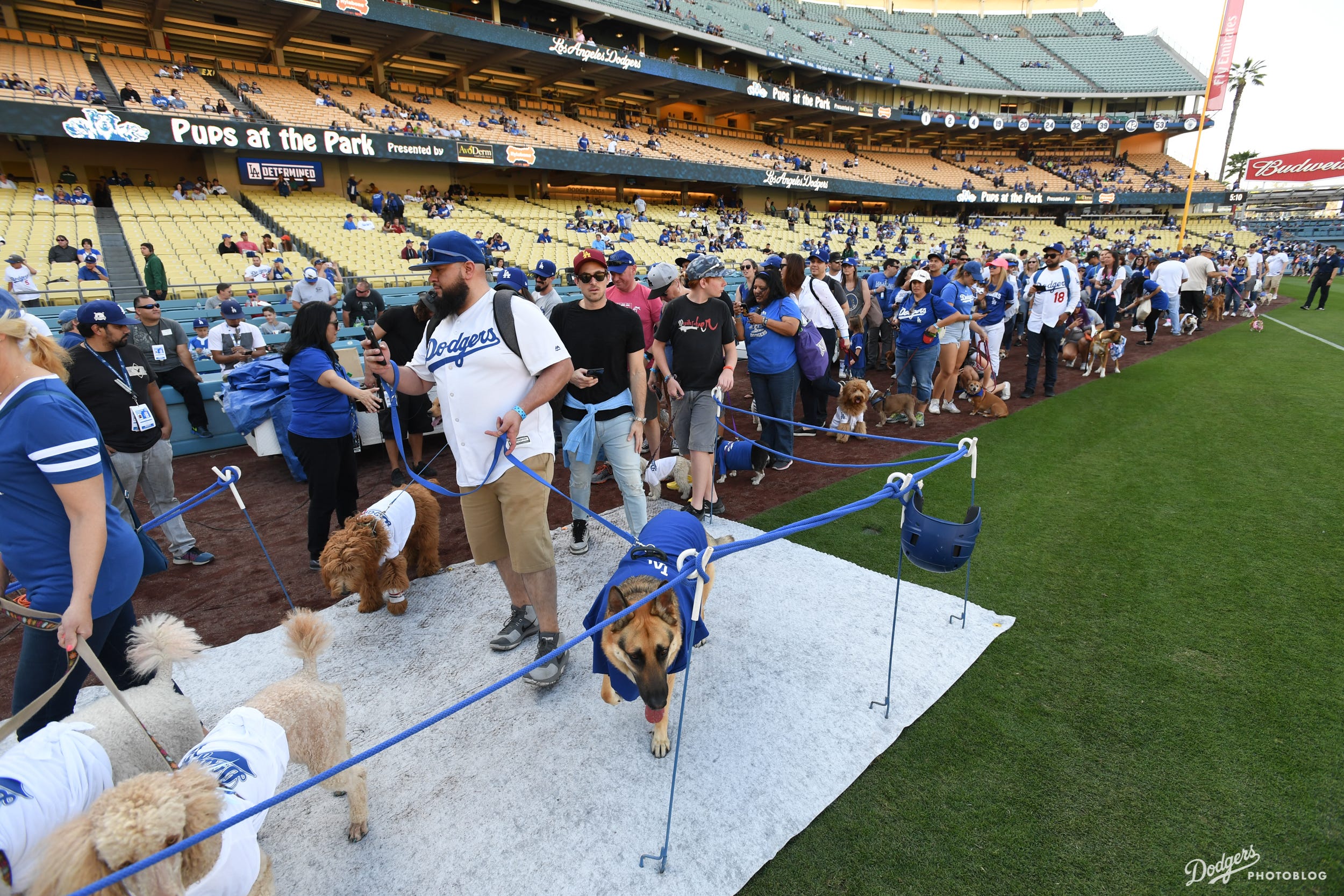 Photoblog Dodgers host Pups at the Park by Sue Jo Dodger Insider