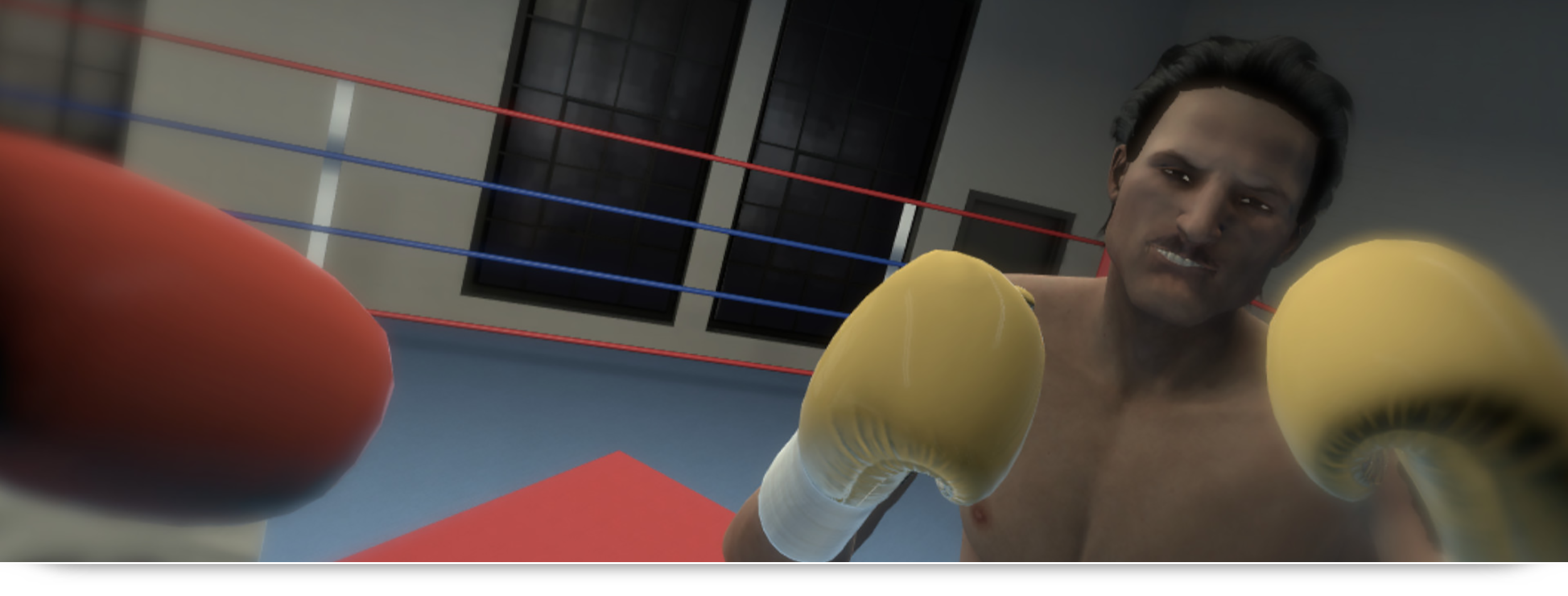 oculus quest thrill of the fight