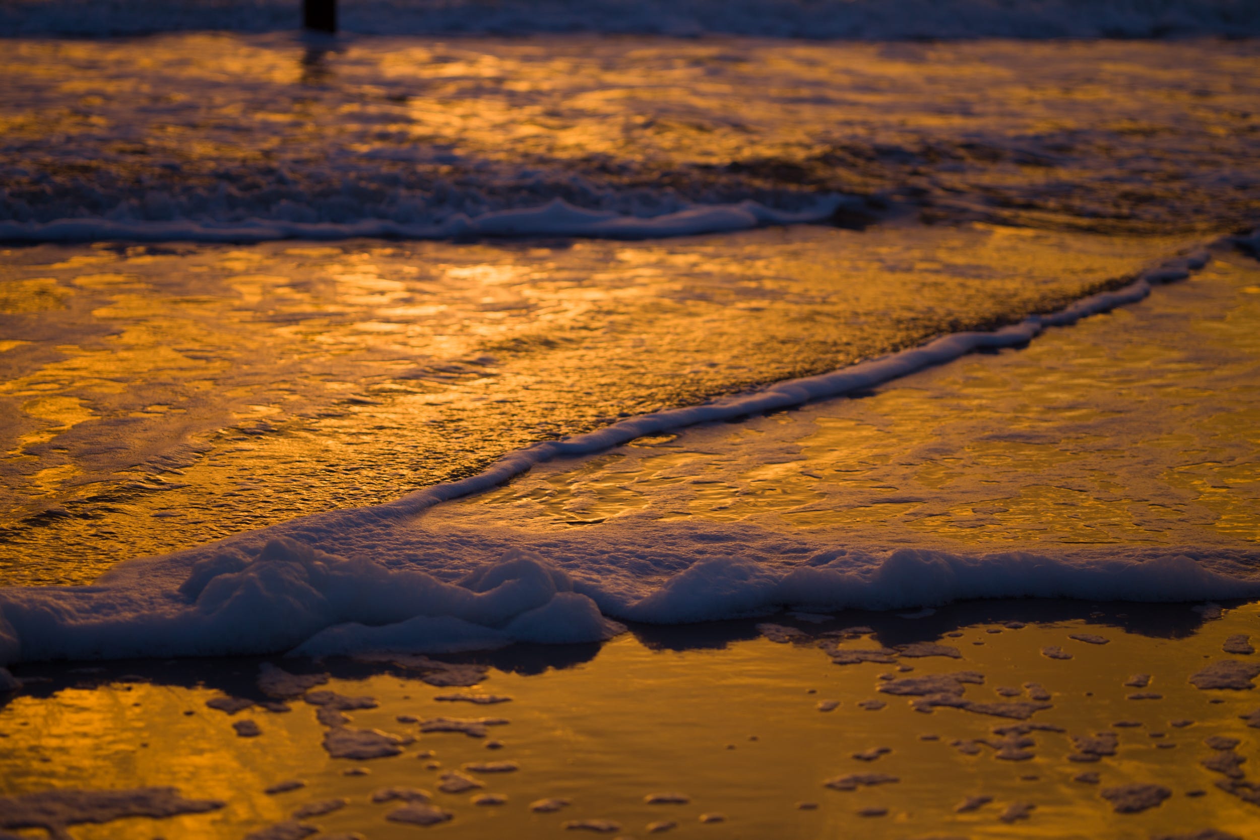 Golden lit sea