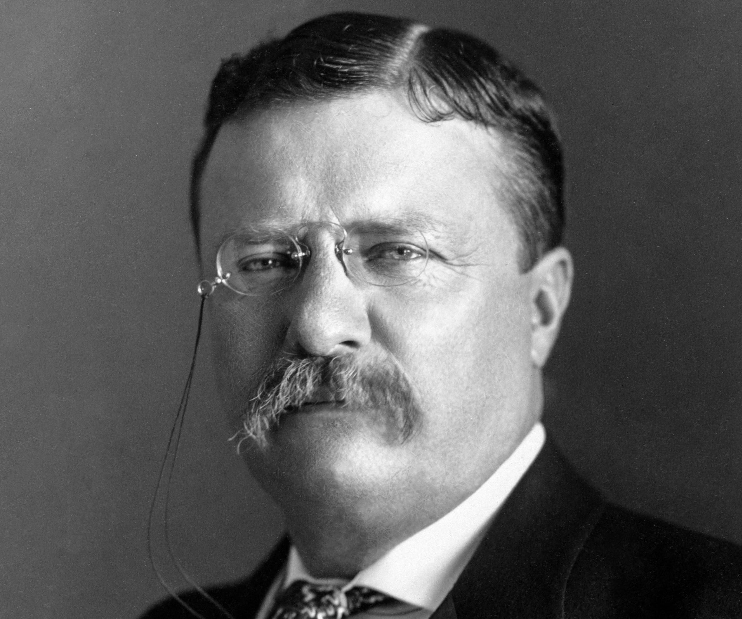 The Adventurous Life of Theodore Roosevelt History of Yesterday