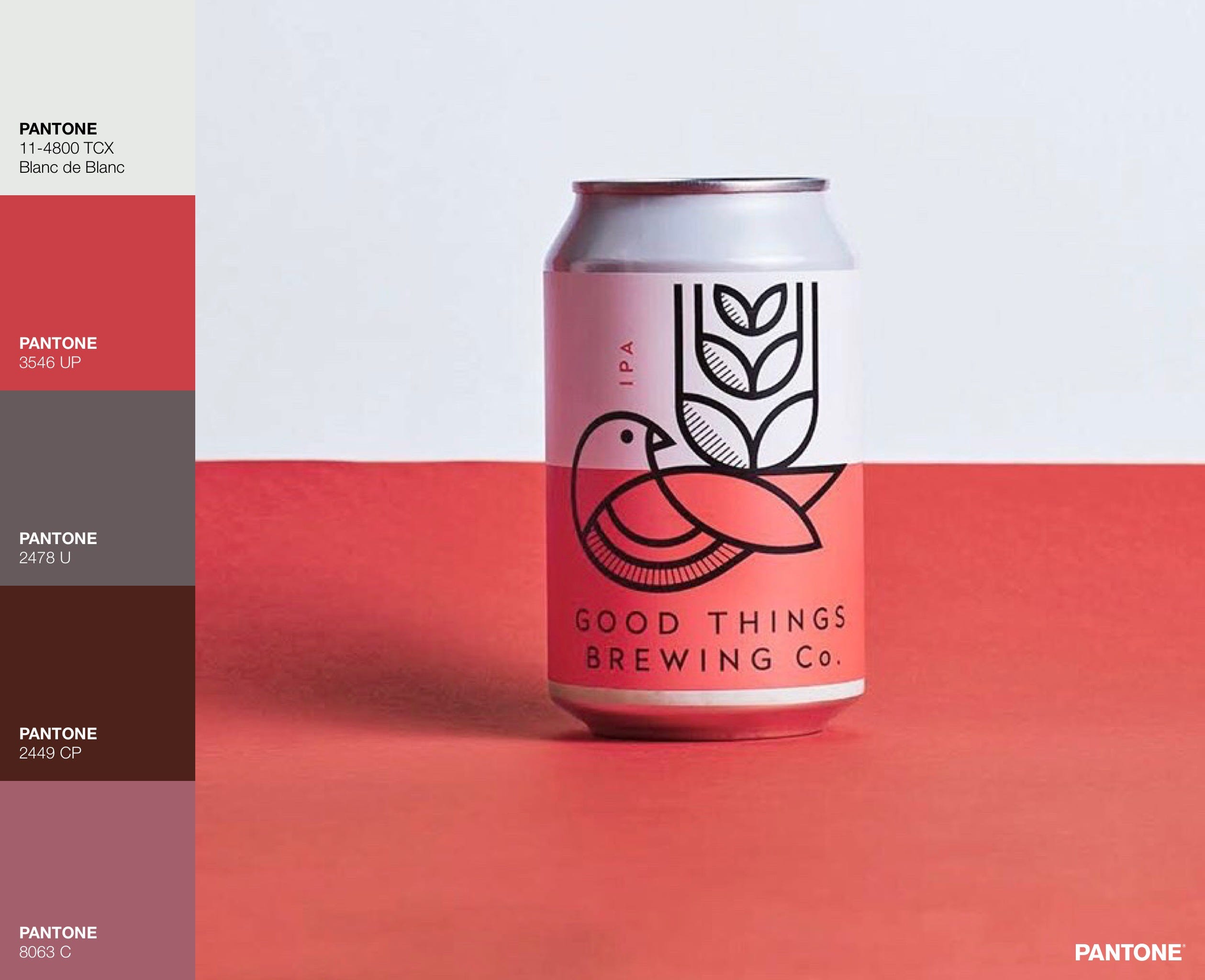 The Colour of Beer. Fashion photographer Aminah McKenzie… | by Rhian  Mainwaring | Medium