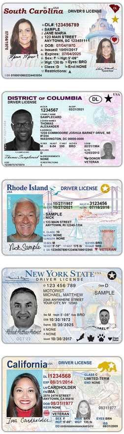 Why REAL ID Might Make It Real Hard To Vote In 2020 | by Eric J Scholl ...