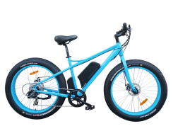 electric bike manufacturers worldwide