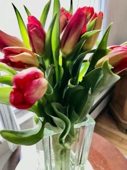 A picture of tulips in a vase